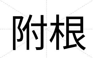 附根