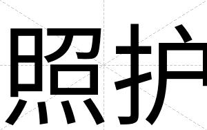 照护