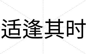 适逢其时
