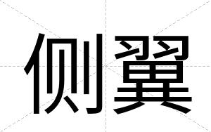 侧翼