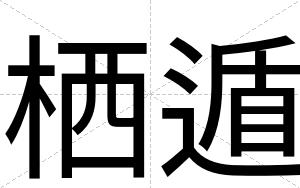 栖遁