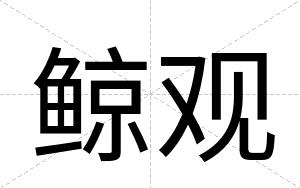 鲸观