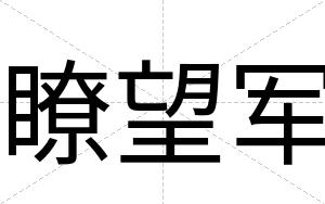 瞭望军