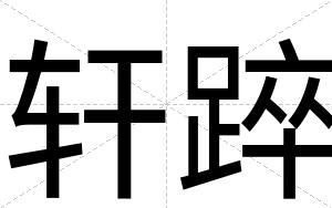 轩踤