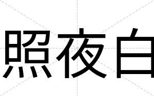 照夜白