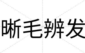 晰毛辨发