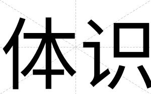 体识