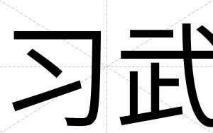 习武