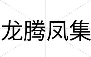 龙腾凤集