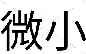 微小