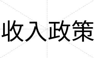 收入政策