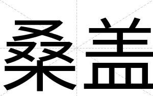 桑盖