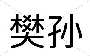 樊孙