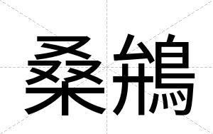 桑鴘