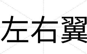 左右翼