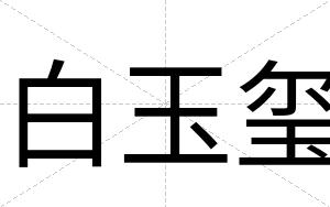 白玉玺