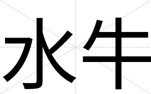 水牛