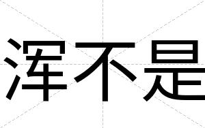 浑不是