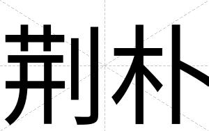 荆朴