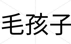 毛孩子
