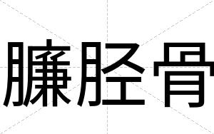 臁胫骨