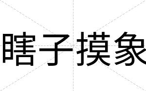 瞎子摸象