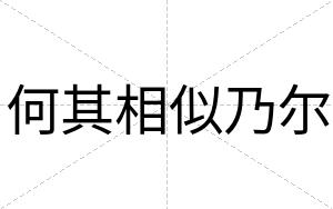 何其相似乃尔