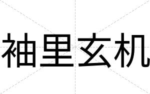 袖里玄机