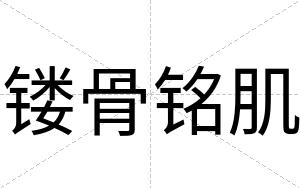 镂骨铭肌