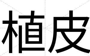 植皮
