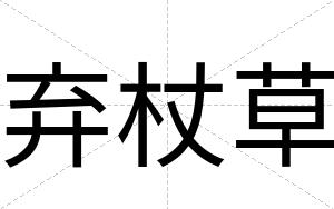 弃杖草