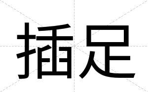 插足