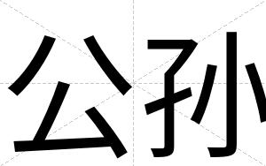 公孙