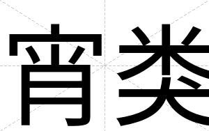 宵类