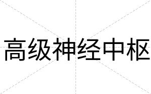 高级神经中枢