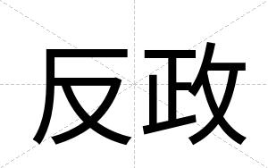 反政