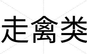 走禽类