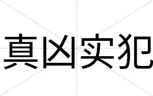 真凶实犯