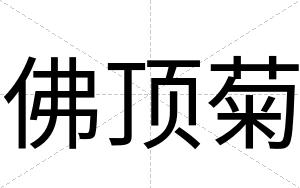 佛顶菊