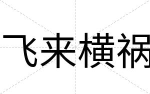 飞来横祸