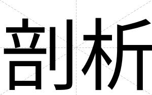 剖析