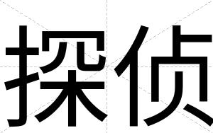 探侦