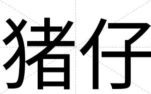 猪仔