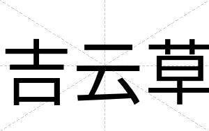 吉云草