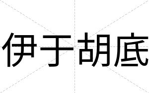 伊于胡底