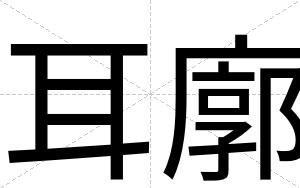 耳廓
