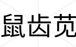 鼠齿苋