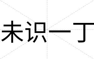 未识一丁