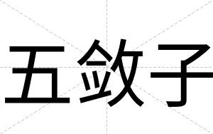 五敛子