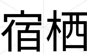 宿栖
